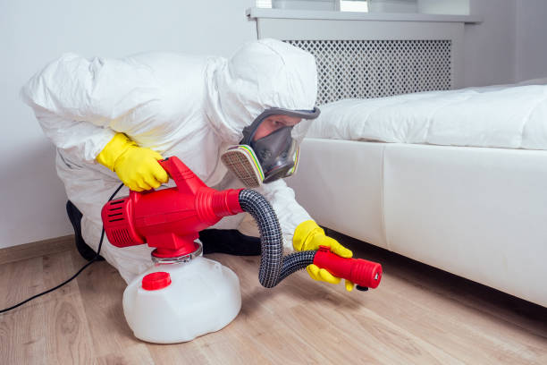 Best Wasp Removal Services  in Palos Verdes Estates, CA