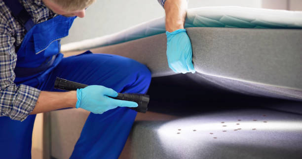 Best Affordable Pest Control Services  in Palos Verdes Estates, CA