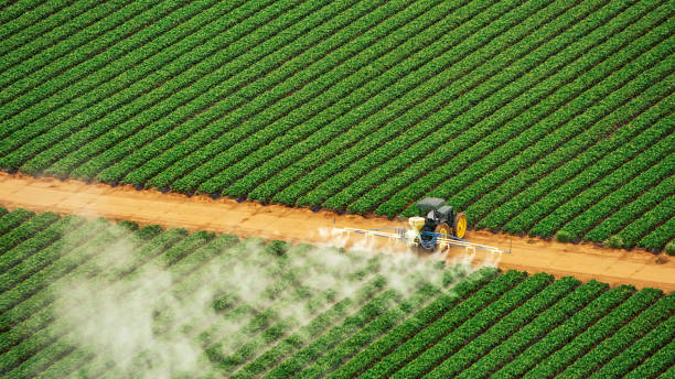 Best Pest Control Near Me  in Palos Verdes Estates, CA