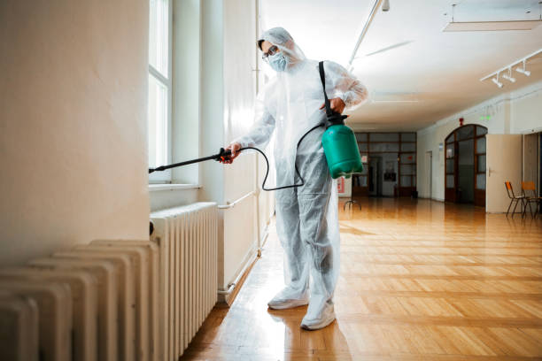 Professional Pest Control in Palos Verdes Estates, CA