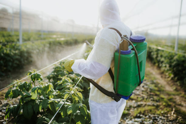 Best Best Pest Control Companies  in Palos Verdes Estates, CA